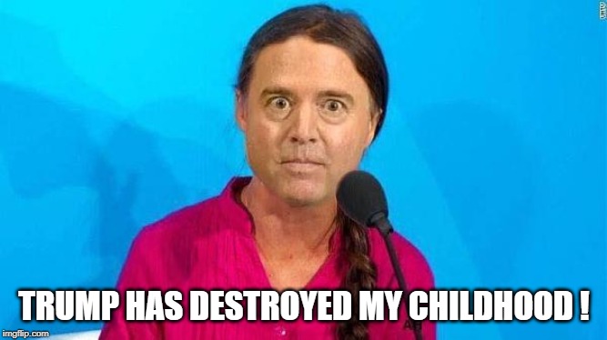 Greta Schiff | TRUMP HAS DESTROYED MY CHILDHOOD ! | image tagged in adam schiff,greta thunberg | made w/ Imgflip meme maker