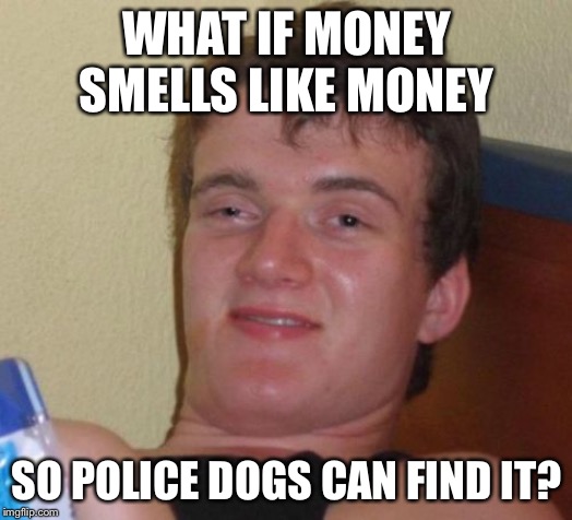 10 Guy | WHAT IF MONEY SMELLS LIKE MONEY; SO POLICE DOGS CAN FIND IT? | image tagged in memes,10 guy,police dogs,police state | made w/ Imgflip meme maker
