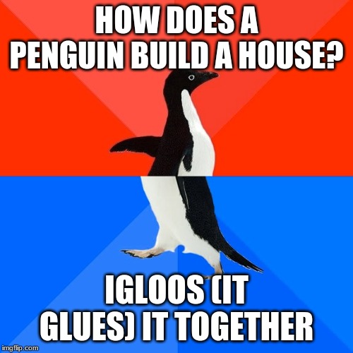 Socially Awesome Awkward Penguin | HOW DOES A PENGUIN BUILD A HOUSE? IGLOOS (IT GLUES) IT TOGETHER | image tagged in memes,socially awesome awkward penguin | made w/ Imgflip meme maker