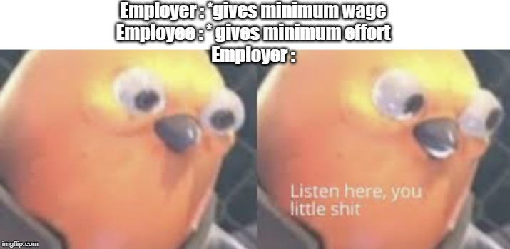 Listen here you little shit bird | Employer : *gives minimum wage
Employee : * gives minimum effort
Employer : | image tagged in listen here you little shit bird | made w/ Imgflip meme maker