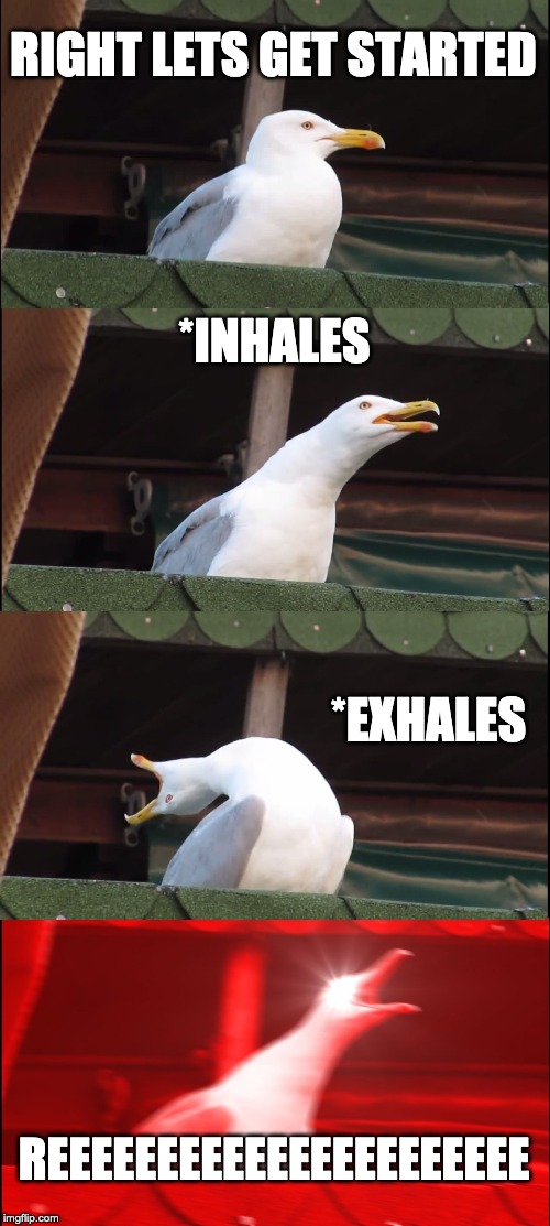 Inhaling Seagull Meme | RIGHT LETS GET STARTED; *INHALES; *EXHALES; REEEEEEEEEEEEEEEEEEEEEE | image tagged in memes,inhaling seagull | made w/ Imgflip meme maker