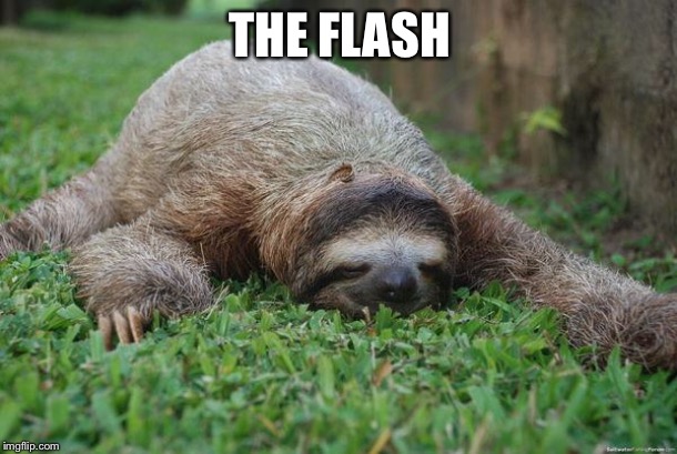 Sleeping sloth |  THE FLASH | image tagged in sleeping sloth | made w/ Imgflip meme maker