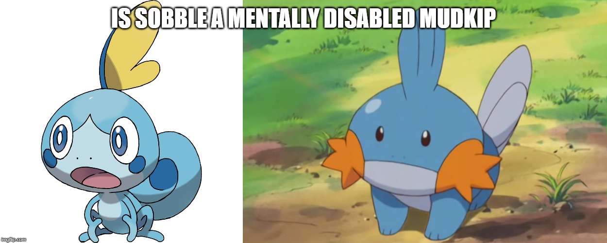 Sobble v Mudkip | IS SOBBLE A MENTALLY DISABLED MUDKIP | image tagged in pokemon | made w/ Imgflip meme maker