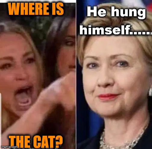 WHERE IS THE CAT? He hung himself..... | made w/ Imgflip meme maker