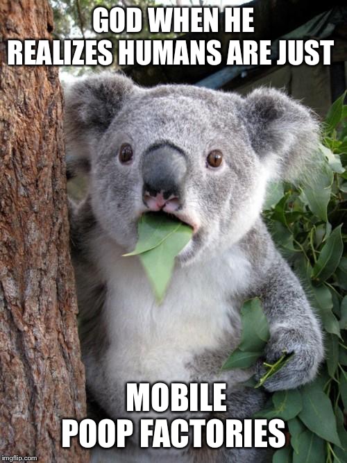 Surprised Koala Meme | GOD WHEN HE REALIZES HUMANS ARE JUST; MOBILE POOP FACTORIES | image tagged in memes,surprised koala | made w/ Imgflip meme maker