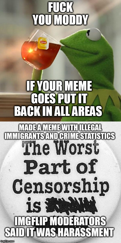 FUCK YOU MODDY; IF YOUR MEME GOES PUT IT BACK IN ALL AREAS | image tagged in memes,but thats none of my business | made w/ Imgflip meme maker