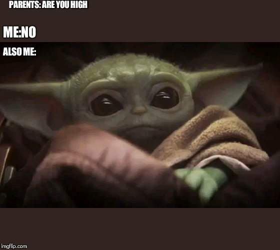Baby Yoda | PARENTS: ARE YOU HIGH; ME:NO; ALSO ME: | image tagged in baby yoda | made w/ Imgflip meme maker