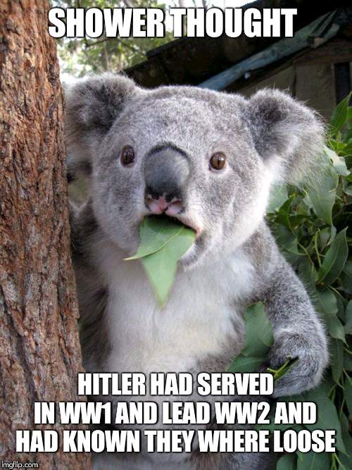 Surprised Koala Meme | SHOWER THOUGHT; HITLER HAD SERVED IN WW1 AND LEAD WW2 AND HAD KNOWN THEY WHERE LOOSE | image tagged in memes,surprised koala | made w/ Imgflip meme maker