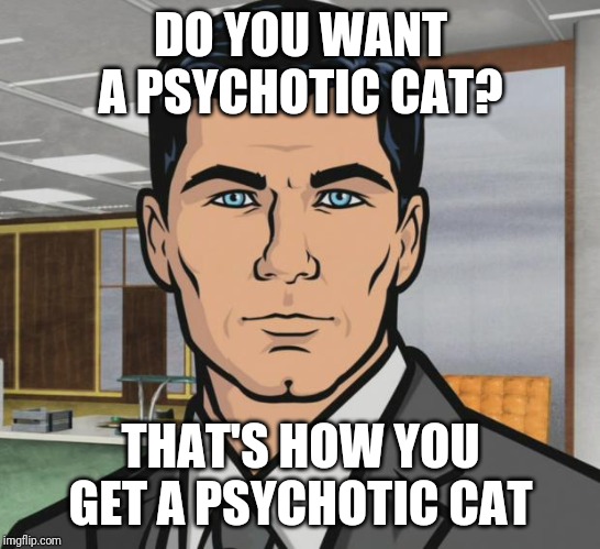 Archer Meme | DO YOU WANT A PSYCHOTIC CAT? THAT'S HOW YOU GET A PSYCHOTIC CAT | image tagged in memes,archer | made w/ Imgflip meme maker