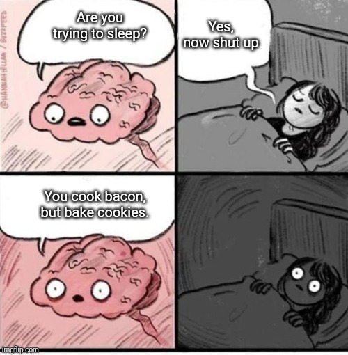 ... |  Yes, now shut up; Are you trying to sleep? You cook bacon, but bake cookies. | image tagged in trying to sleep,bacon,cookies | made w/ Imgflip meme maker