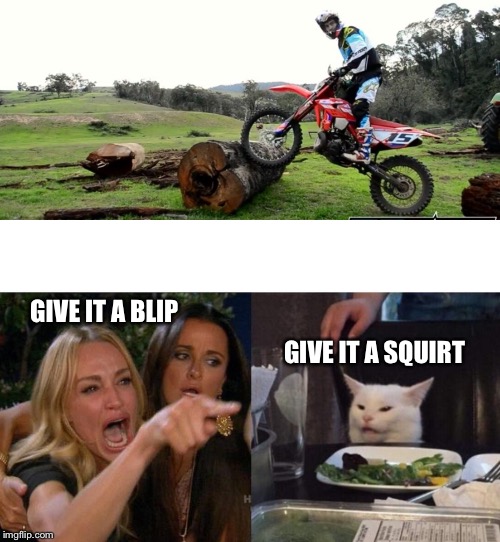 GIVE IT A SQUIRT; GIVE IT A BLIP | image tagged in memes,woman yelling at cat | made w/ Imgflip meme maker