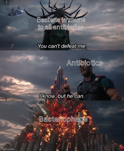 You Can't Defeat Me | Bacteria immune to all antibiotics; Antibiotics; Bacteriophage | image tagged in you can't defeat me | made w/ Imgflip meme maker