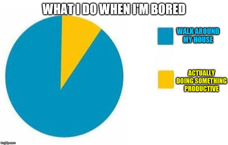 pie chart yes but in yellow | WHAT I DO WHEN I'M BORED ACTUALLY DOING SOMETHING PRODUCTIVE WALK AROUND MY HOUSE | image tagged in pie chart yes but in yellow | made w/ Imgflip meme maker