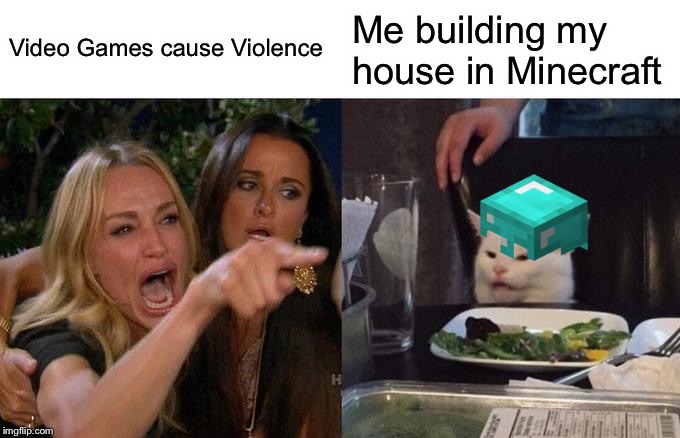 Woman Yelling At Cat Meme | Video Games cause Violence; Me building my house in Minecraft | image tagged in memes,woman yelling at cat | made w/ Imgflip meme maker