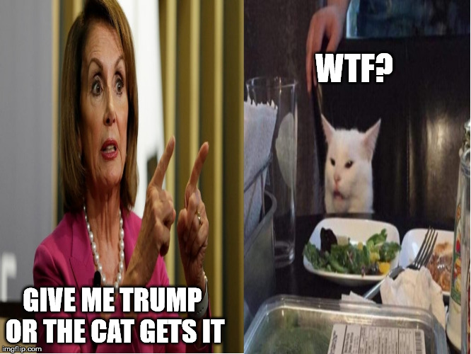 Smudge gets it | WTF? GIVE ME TRUMP 
OR THE CAT GETS IT | image tagged in nancy pelosi,donald trump | made w/ Imgflip meme maker