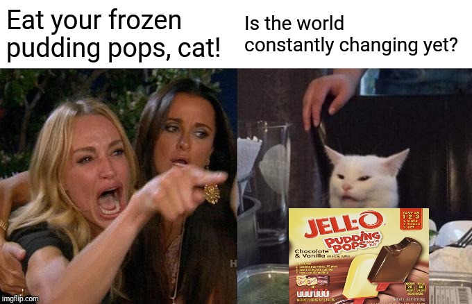 Woman forcing cat to eat pudding pops | Eat your frozen pudding pops, cat! Is the world constantly changing yet? | image tagged in memes,woman yelling at cat | made w/ Imgflip meme maker