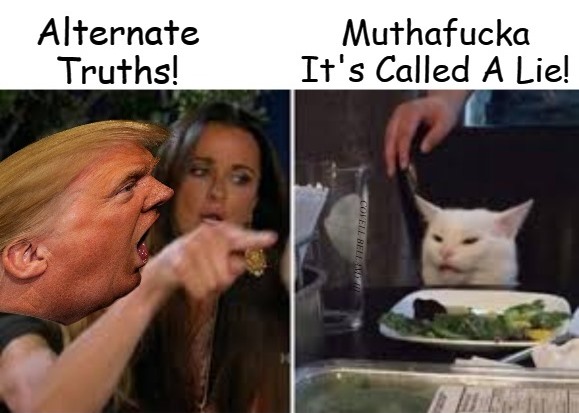 High Quality trump yelling at cat alternate truths Blank Meme Template