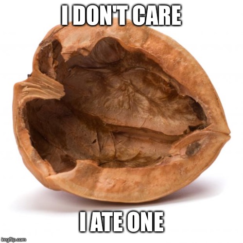 Nutshell | I DON'T CARE I ATE ONE | image tagged in nutshell | made w/ Imgflip meme maker