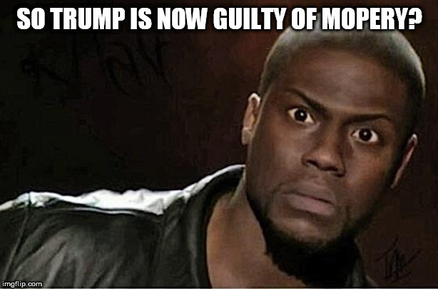 Kevin Hart | SO TRUMP IS NOW GUILTY OF MOPERY? | image tagged in memes,kevin hart | made w/ Imgflip meme maker