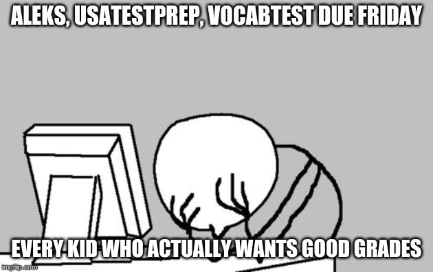 Computer Guy Facepalm Meme | ALEKS, USATESTPREP, VOCABTEST DUE FRIDAY; EVERY KID WHO ACTUALLY WANTS GOOD GRADES | image tagged in memes,computer guy facepalm | made w/ Imgflip meme maker