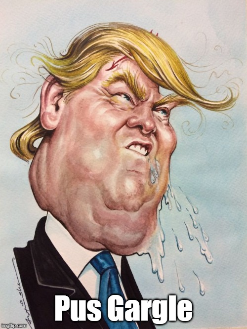 "Pus Gargle" | Pus Gargle | image tagged in trump,trump nickname,a disgusting name for a disgusting man,best trump name yet | made w/ Imgflip meme maker