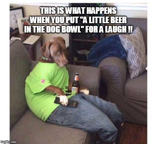 THIS IS WHAT HAPPENS WHEN YOU PUT "A LITTLE BEER IN THE DOG BOWL" FOR A LAUGH !! | image tagged in beer,doggo | made w/ Imgflip meme maker