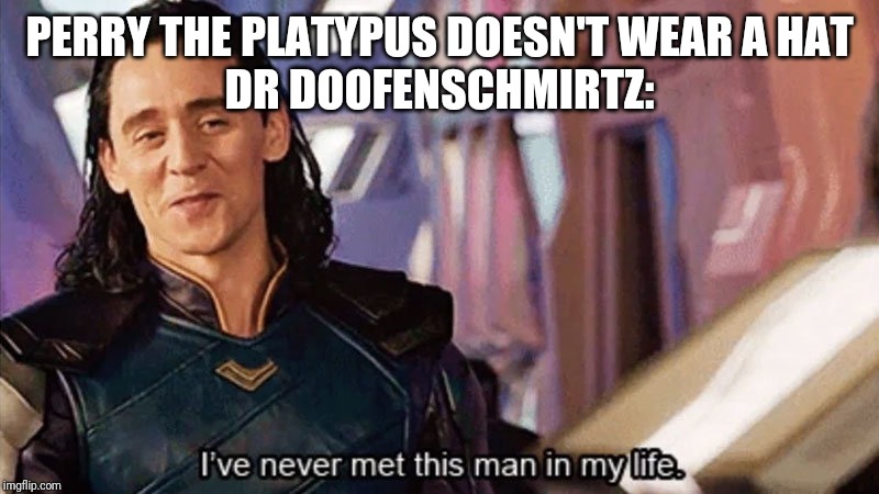 I Have Never Met This Man In My Life | PERRY THE PLATYPUS DOESN'T WEAR A HAT
DR DOOFENSCHMIRTZ: | image tagged in i have never met this man in my life | made w/ Imgflip meme maker