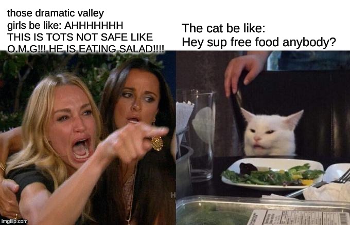 Woman Yelling At Cat Meme | those dramatic valley girls be like: AHHHHHHH THIS IS TOTS NOT SAFE LIKE O.M.G!!! HE IS EATING SALAD!!!! The cat be like: Hey sup free food anybody? | image tagged in memes,woman yelling at cat | made w/ Imgflip meme maker