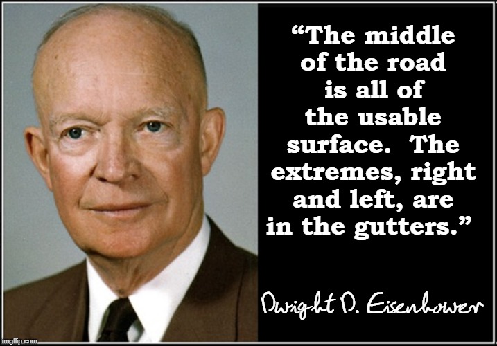 Once upon a time you didn't try to impeach a president on his 1st day | “The middle of the road is all of the usable surface.  The extremes, right and left, are in the gutters.” Dwight D. Eisenhower | image tagged in vince vance,eisenhower,middle of the road,extreme,radical,reactionary | made w/ Imgflip meme maker