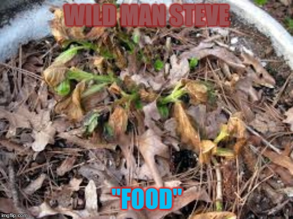 WILD MAN STEVE; "FOOD" | image tagged in food | made w/ Imgflip meme maker