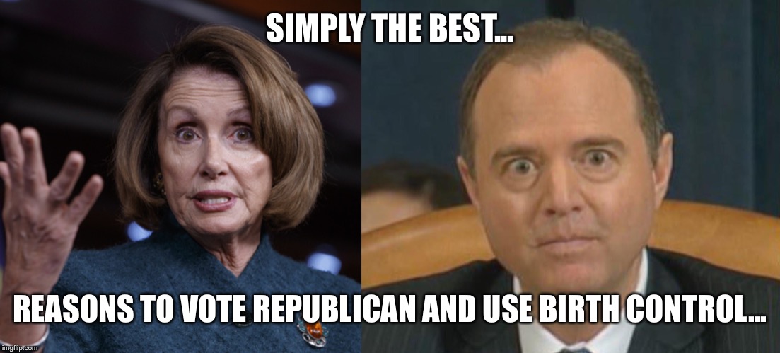 SIMPLY THE BEST... REASONS TO VOTE REPUBLICAN AND USE BIRTH CONTROL... | image tagged in good old nancy pelosi,adam shifty schiff | made w/ Imgflip meme maker