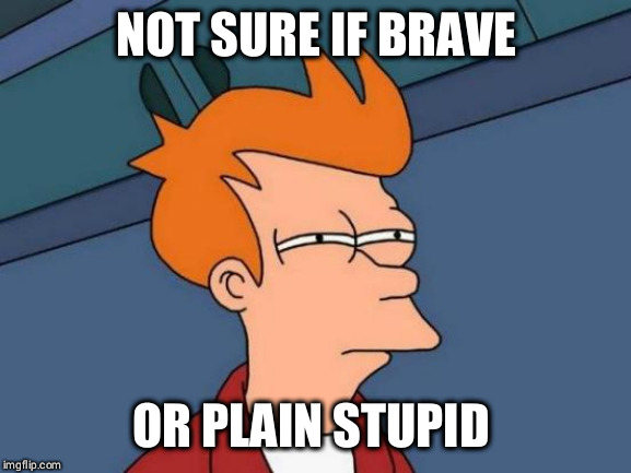 Futurama Fry | NOT SURE IF BRAVE; OR PLAIN STUPID | image tagged in memes,futurama fry | made w/ Imgflip meme maker