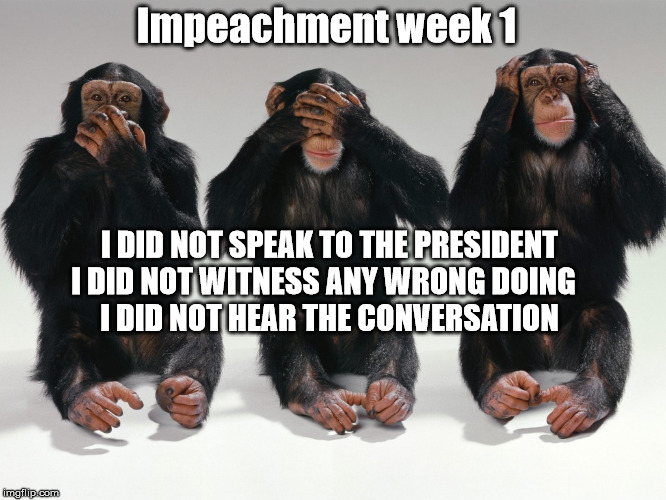 Not what Schiff wanted to hear | Impeachment week 1; I DID NOT SPEAK TO THE PRESIDENT

I DID NOT WITNESS ANY WRONG DOING  
I DID NOT HEAR THE CONVERSATION | image tagged in trump impeachment | made w/ Imgflip meme maker