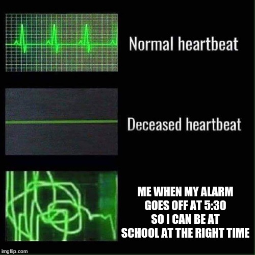 Heart beat meme | ME WHEN MY ALARM GOES OFF AT 5:30 SO I CAN BE AT SCHOOL AT THE RIGHT TIME | image tagged in heart beat meme | made w/ Imgflip meme maker
