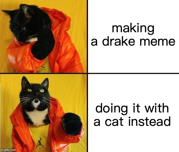 Kitty Drake | making a drake meme; doing it with a cat instead | image tagged in kitty drake | made w/ Imgflip meme maker