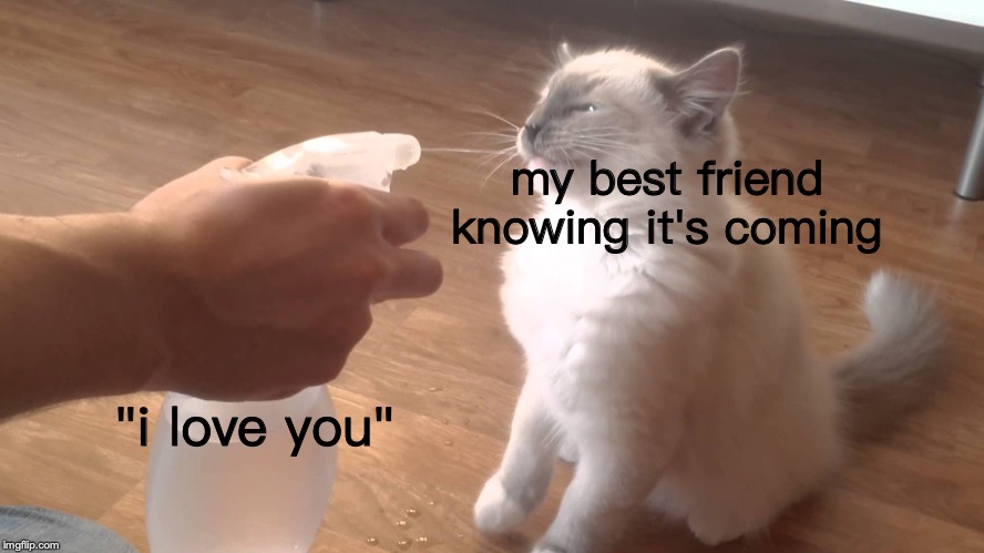 Bad kitty | my best friend knowing it's coming; "i love you" | image tagged in bad kitty | made w/ Imgflip meme maker