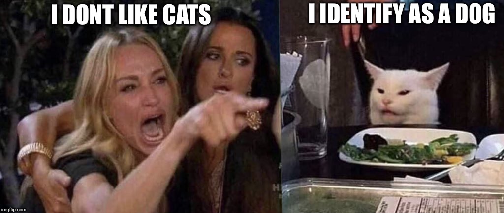 woman yelling at cat | I IDENTIFY AS A DOG; I DONT LIKE CATS | image tagged in woman yelling at cat | made w/ Imgflip meme maker