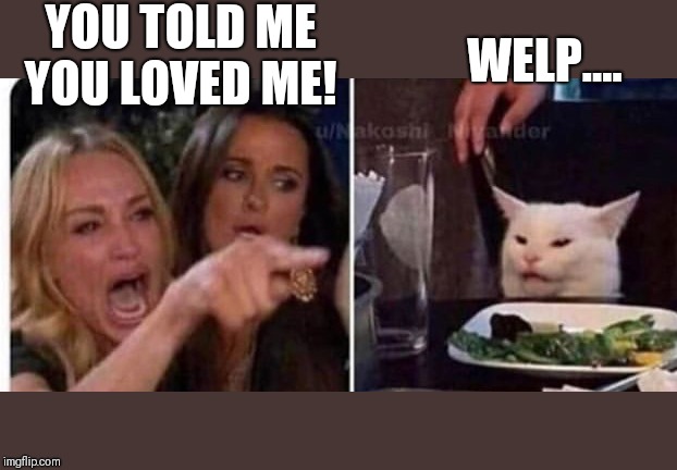 Cat at table | YOU TOLD ME YOU LOVED ME! WELP.... | image tagged in cat at table | made w/ Imgflip meme maker