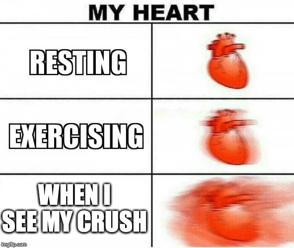 MY HEART | WHEN I SEE MY CRUSH | image tagged in my heart | made w/ Imgflip meme maker