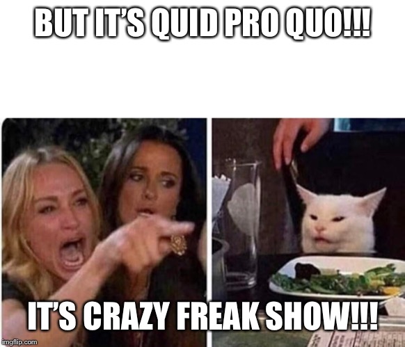Lady screams at cat | BUT IT’S QUID PRO QUO!!! IT’S CRAZY FREAK SHOW!!! | image tagged in lady screams at cat | made w/ Imgflip meme maker