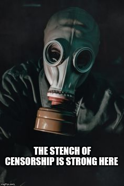 mask | THE STENCH OF CENSORSHIP IS STRONG HERE | image tagged in mask | made w/ Imgflip meme maker