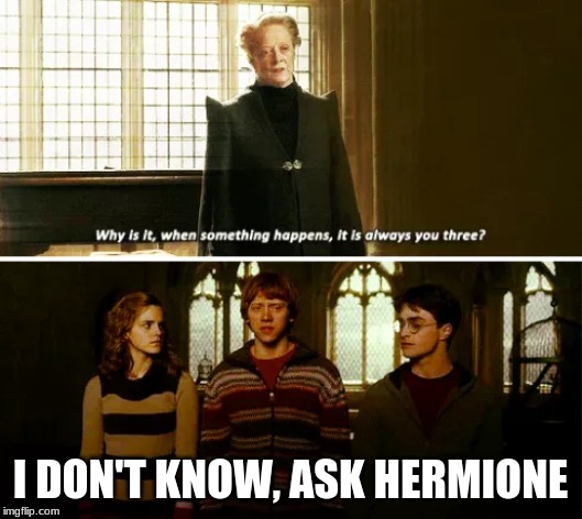 Always you three | I DON'T KNOW, ASK HERMIONE | image tagged in always you three | made w/ Imgflip meme maker