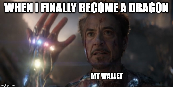 WHEN I FINALLY BECOME A DRAGON; MY WALLET | made w/ Imgflip meme maker