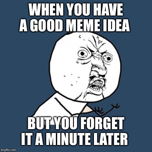 Y U No Meme | WHEN YOU HAVE A GOOD MEME IDEA; BUT YOU FORGET IT A MINUTE LATER | image tagged in memes,y u no | made w/ Imgflip meme maker