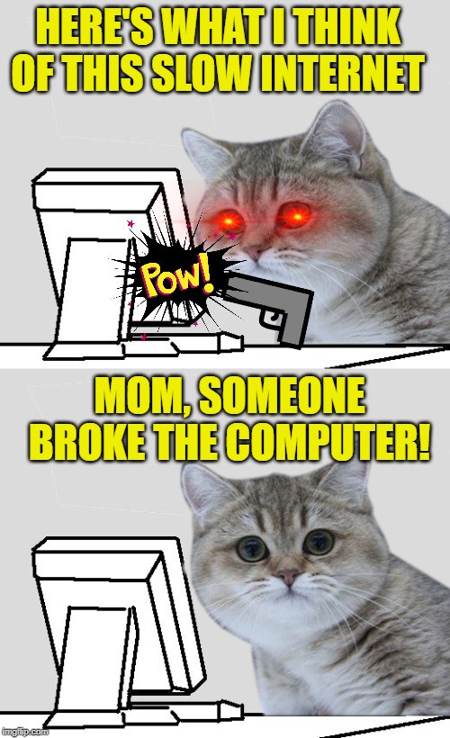 Fed up cat | HERE'S WHAT I THINK OF THIS SLOW INTERNET; MOM, SOMEONE BROKE THE COMPUTER! | image tagged in wuthai nope,cat,cat memes,computer,slow wifi | made w/ Imgflip meme maker