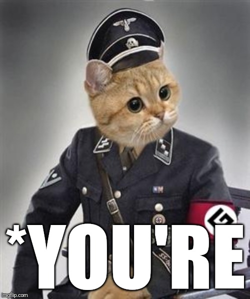 Grammar Nazi Cat | *YOU'RE | image tagged in grammar nazi cat | made w/ Imgflip meme maker