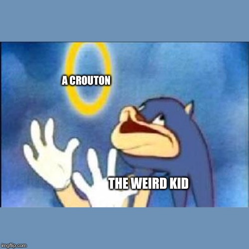 Sonic derp | A CROUTON; THE WEIRD KID | image tagged in sonic derp | made w/ Imgflip meme maker