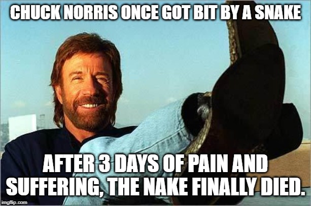 Chuck Norris Says | CHUCK NORRIS ONCE GOT BIT BY A SNAKE; AFTER 3 DAYS OF PAIN AND SUFFERING, THE NAKE FINALLY DIED. | image tagged in chuck norris says | made w/ Imgflip meme maker