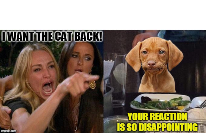 Woman yelling at dog | I WANT THE CAT BACK! YOUR REACTION IS SO DISAPPOINTING | image tagged in memes,woman yelling at cat,woman welling at dog,puppies | made w/ Imgflip meme maker