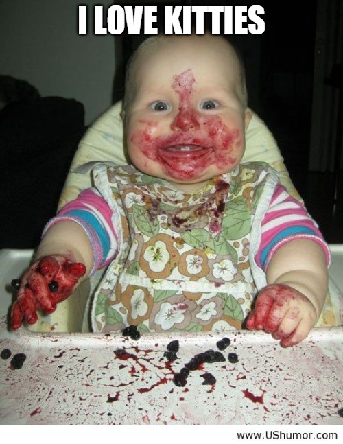 Excited baby with dessert on face | I LOVE KITTIES | image tagged in excited baby with dessert on face | made w/ Imgflip meme maker
